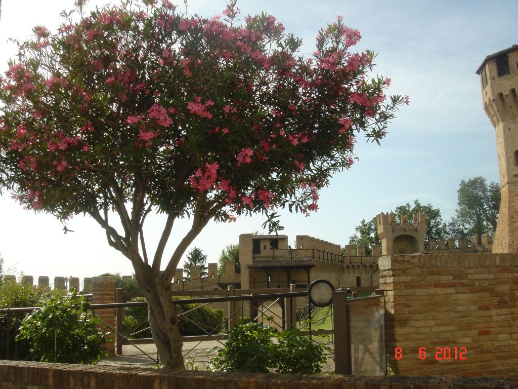 Gabicce Mare 2012 137